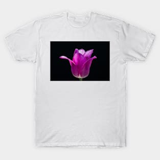 Tulip 7 T-Shirt